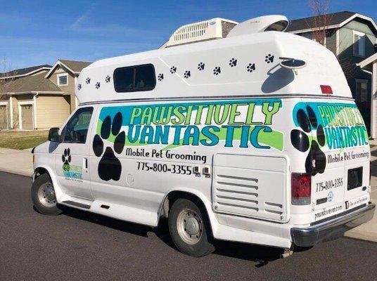 Mobile Pet Grooming in Reno- YASSSS‼