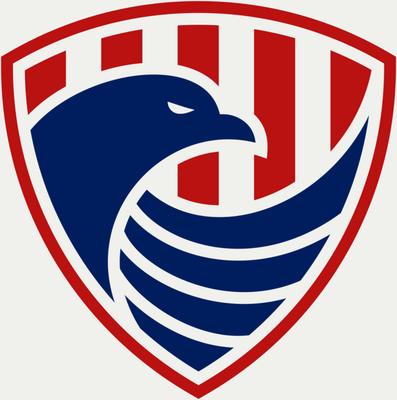 the logo for www.Naplessecurity.net