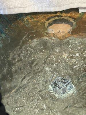 Bellissima Nails & Waxing