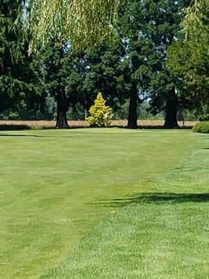 Albany Golf & Event Center