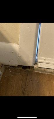 Jefferson Lakes Apartments