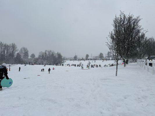 Chestnut Branch Park