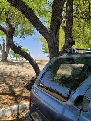 Hilltop Automotive & Performane