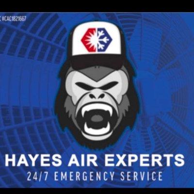 Hayes Air Experts