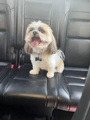 Extreme Pet Grooming Salon