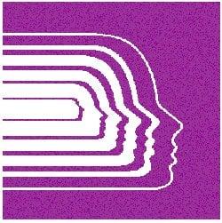 The Milton H Erickson Foundation