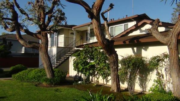 Rebecca Way - 4plex Apartments