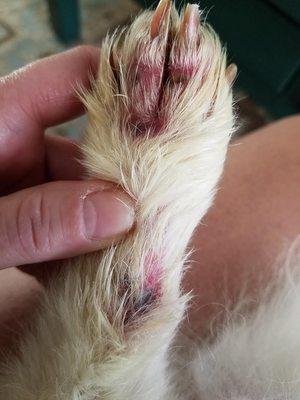 Veterinary Clinic of Prophetstown