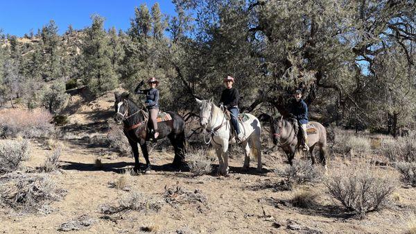 American Jousting Alliance