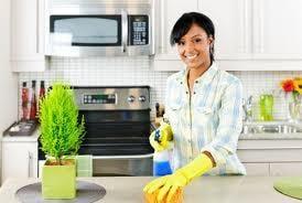 Professional Home Cleaning