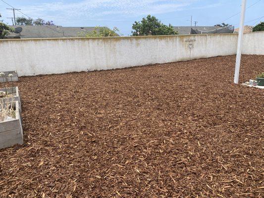 Pedro Lopez & Sons Maintenance & Landscaping