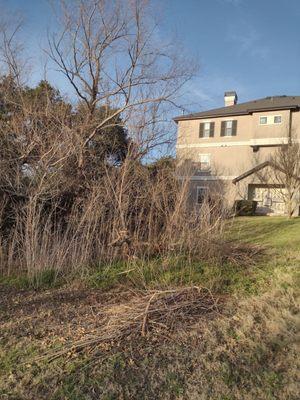 Mowed around brush piles instead of removing.