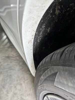 Squeaky Clean Car Wash