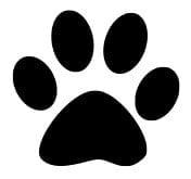 Perfect Pets