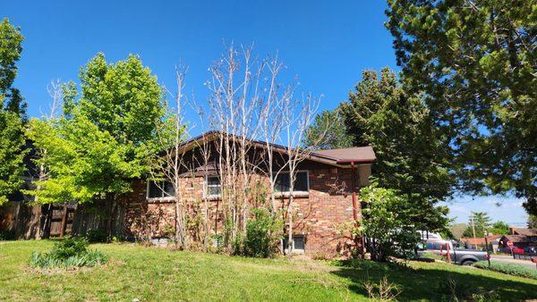 Rodriguez Landscape, Inc