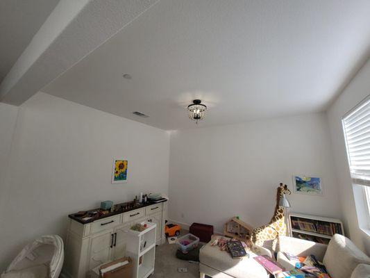 Skylight Electrical Service