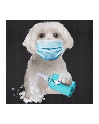 Horizon Animal Hospital