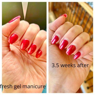 Cindy Nails And Hair