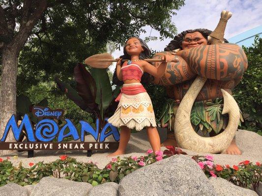 Moana preview