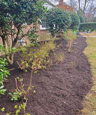 R Mendez Landscaping Services