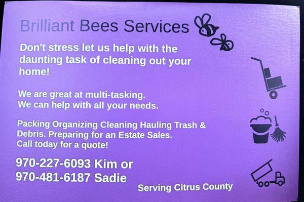 Brillant Bees Cleaning Service
