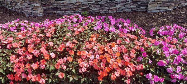 Made In America Lawn Care