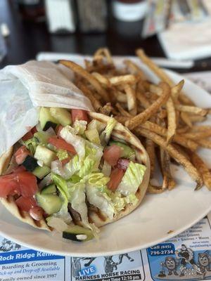 Original Gyro with fries