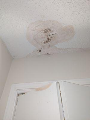 This is a leak in the ceiling that had been "repaired" before we moved in. No one ever checked the quality of these "repairs".