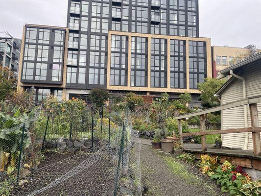 Belltown Cottage Park