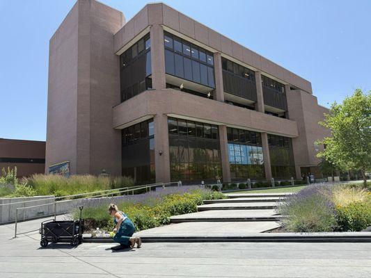 Boise City Hall
