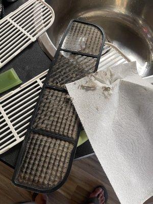 Cruise America Motorhome Rental & Sales