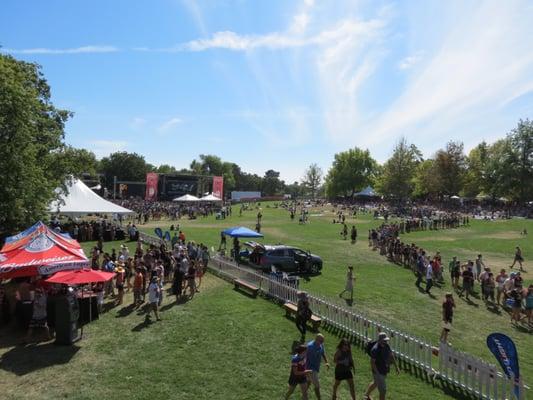 City of Trees Music Festival