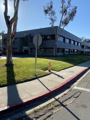 Edwin P Simpson III CPA