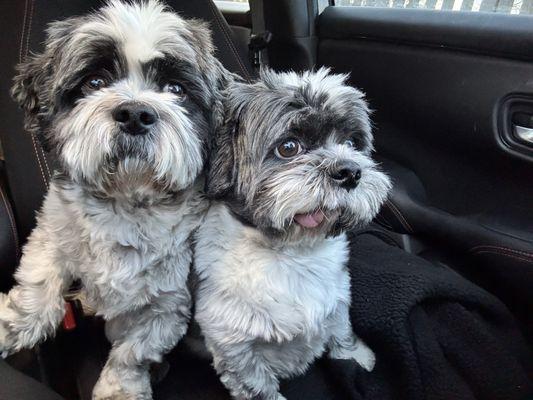 Montucky & Cooper