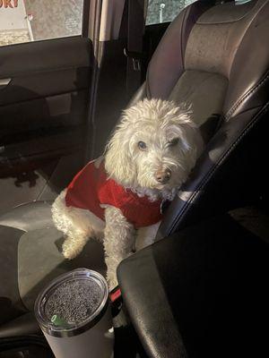 Muddy Paws Bathhouse