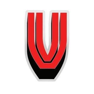 Vibe Energy Group