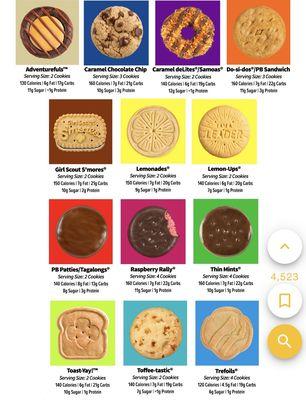 Girl Scouts Nassau Council