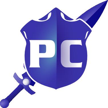 PC Paladins