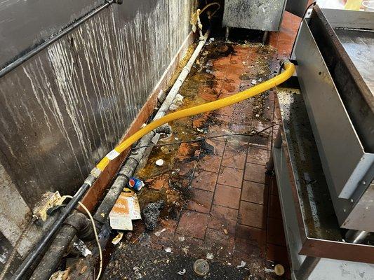 E & L Cleaning Solutions