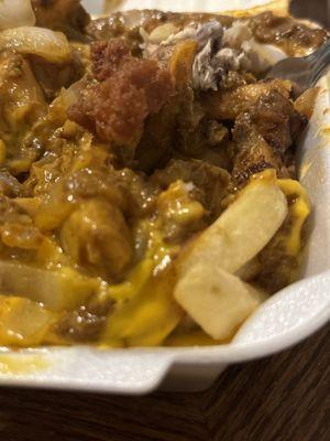 Raw French fries and barely cooked onions