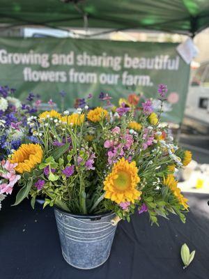 Fresh beautiful flowers
