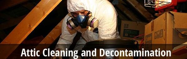 LionGuard Pest Control