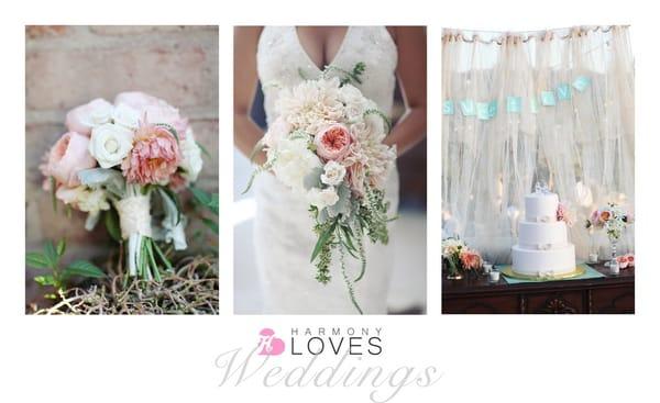 Harmony Loves Photography