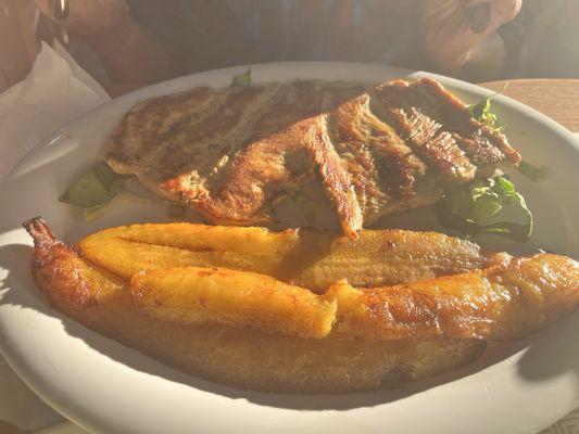 Chicken breast steak (Pechuga a la plancha)