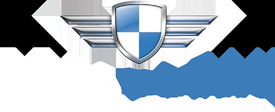 RealClean Aircraft Detailing