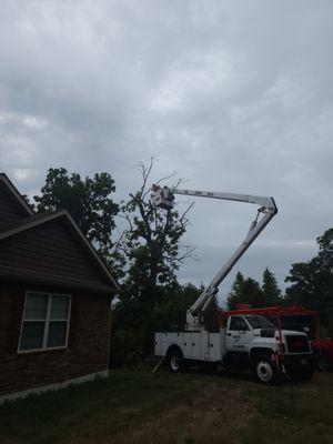 Bantys Tree Service