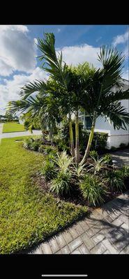 Plantart Land Services