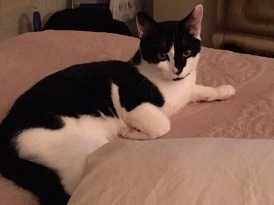 July's Best Grooming