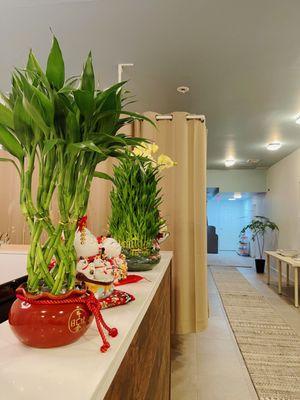 Bay Ridge Acupuncture