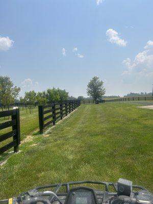 Cecil’s Power Washing & Stump Removal